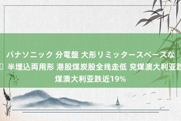 パナソニック 分電盤 大形リミッタースペースなし 露出・半埋込両用形 港股煤炭股全线走低 兖煤澳大利亚跌近19%