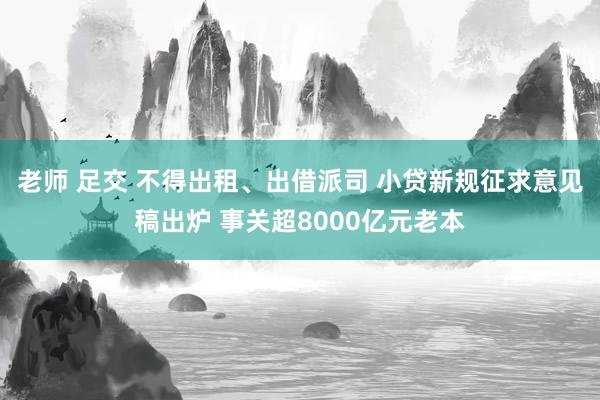 老师 足交 不得出租、出借派司 小贷新规征求意见稿出炉 事关超8000亿元老本