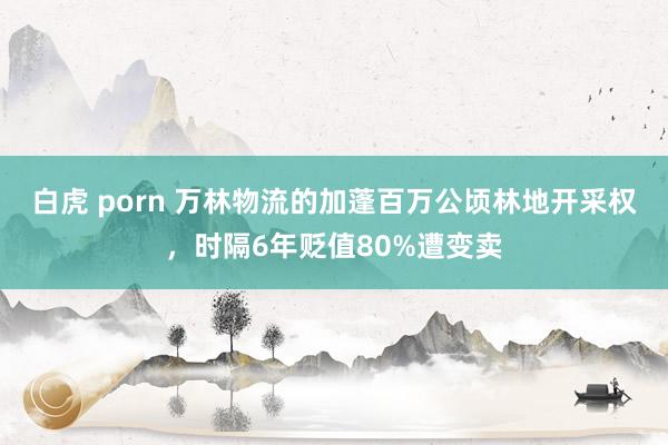 白虎 porn 万林物流的加蓬百万公顷林地开采权，时隔6年贬值80%遭变卖