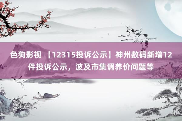 色狗影视 【12315投诉公示】神州数码新增12件投诉公示，波及市集调养价问题等