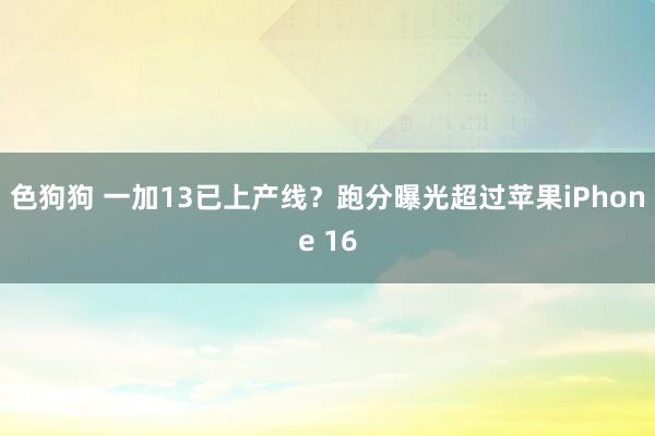 色狗狗 一加13已上产线？跑分曝光超过苹果iPhone 16