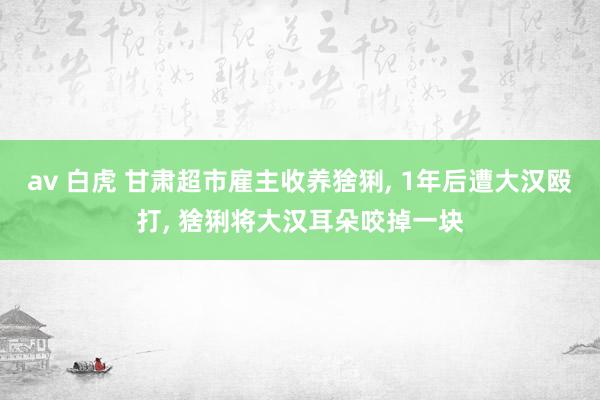 av 白虎 甘肃超市雇主收养猞猁, 1年后遭大汉殴打, 猞猁将大汉耳朵咬掉一块