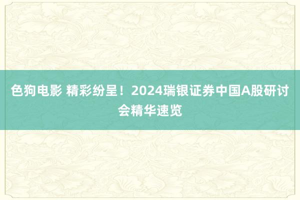 色狗电影 精彩纷呈！2024瑞银证券中国A股研讨会精华速览