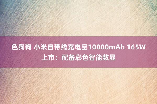 色狗狗 小米自带线充电宝10000mAh 165W上市：配备彩色智能数显