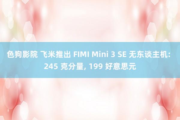 色狗影院 飞米推出 FIMI Mini 3 SE 无东谈主机: 245 克分量， 199 好意思元