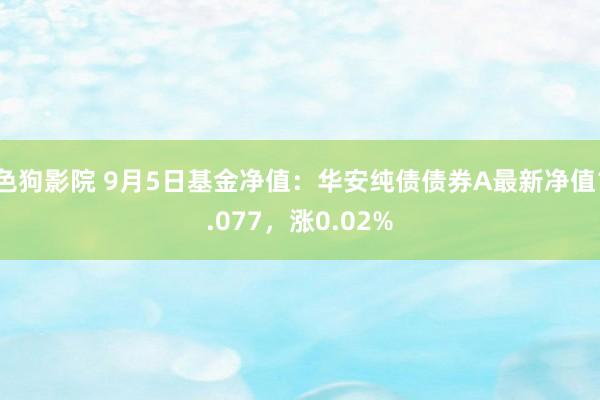 色狗影院 9月5日基金净值：华安纯债债券A最新净值1.077，涨0.02%