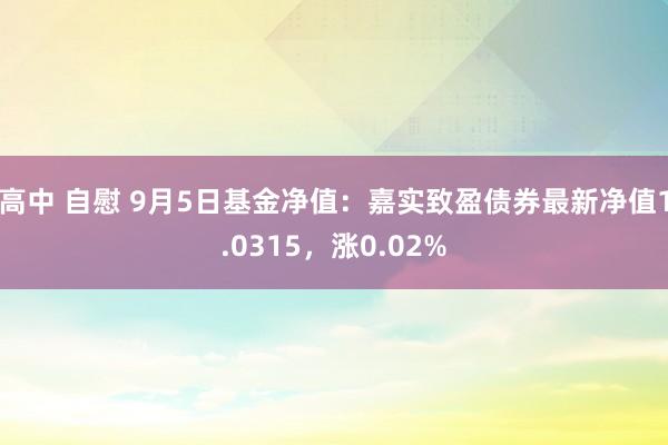 高中 自慰 9月5日基金净值：嘉实致盈债券最新净值1.0315，涨0.02%