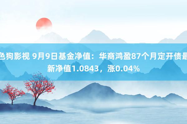 色狗影视 9月9日基金净值：华商鸿盈87个月定开债最新净值1.0843，涨0.04%