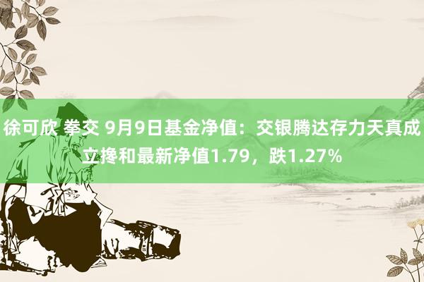 徐可欣 拳交 9月9日基金净值：交银腾达存力天真成立搀和最新净值1.79，跌1.27%