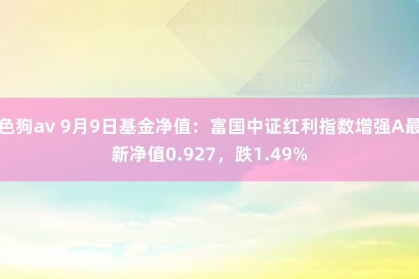 色狗av 9月9日基金净值：富国中证红利指数增强A最新净值0.927，跌1.49%