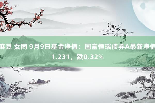 麻豆 女同 9月9日基金净值：国富恒瑞债券A最新净值1.231，跌0.32%