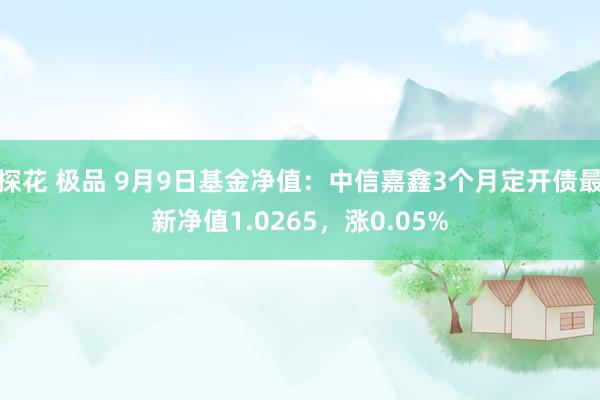 探花 极品 9月9日基金净值：中信嘉鑫3个月定开债最新净值1.0265，涨0.05%