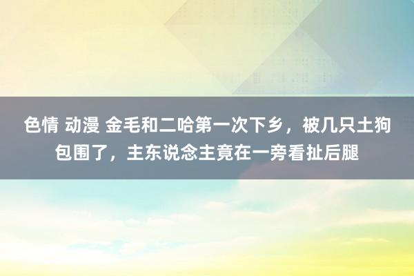 色情 动漫 金毛和二哈第一次下乡，被几只土狗包围了，主东说念主竟在一旁看扯后腿