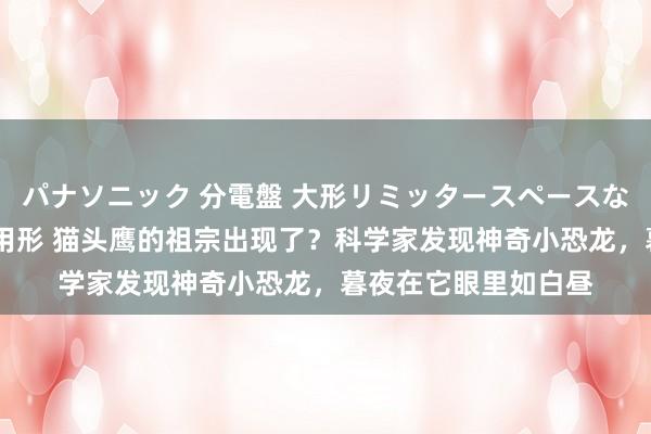 パナソニック 分電盤 大形リミッタースペースなし 露出・半埋込両用形 猫头鹰的祖宗出现了？科学家发现神奇小恐龙，暮夜在它眼里如白昼