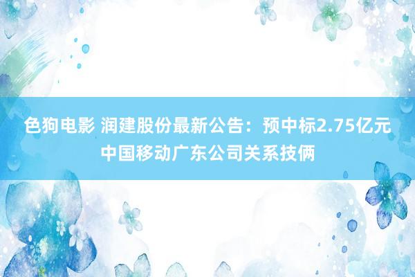 色狗电影 润建股份最新公告：预中标2.75亿元中国移动广东公司关系技俩