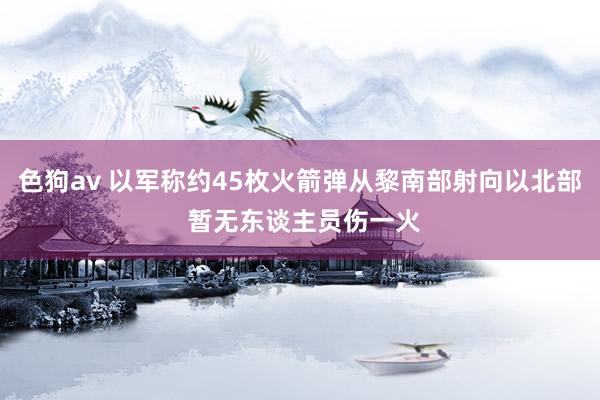 色狗av 以军称约45枚火箭弹从黎南部射向以北部 暂无东谈主员伤一火