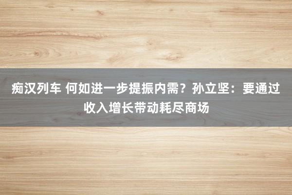 痴汉列车 何如进一步提振内需？孙立坚：要通过收入增长带动耗尽商场