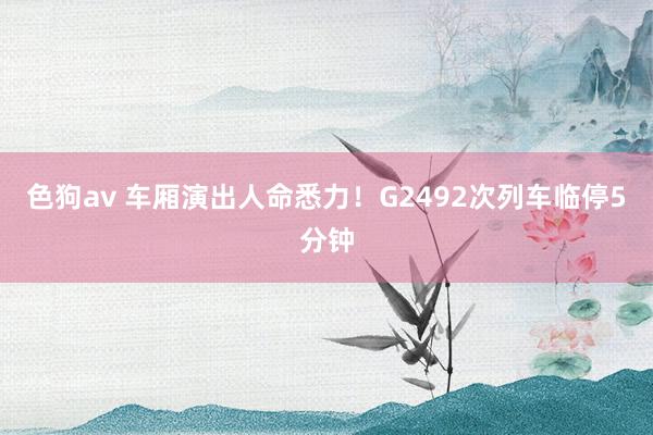 色狗av 车厢演出人命悉力！G2492次列车临停5分钟