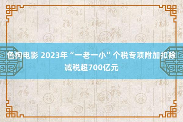 色狗电影 2023年“一老一小”个税专项附加扣除减税超700亿元