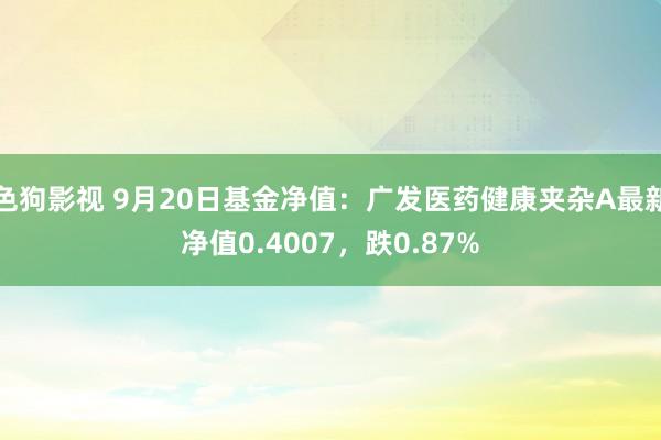 色狗影视 9月20日基金净值：广发医药健康夹杂A最新净值0.4007，跌0.87%