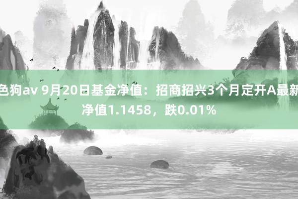 色狗av 9月20日基金净值：招商招兴3个月定开A最新净值1.1458，跌0.01%