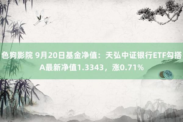 色狗影院 9月20日基金净值：天弘中证银行ETF勾搭A最新净值1.3343，涨0.71%