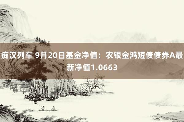 痴汉列车 9月20日基金净值：农银金鸿短债债券A最新净值1.0663