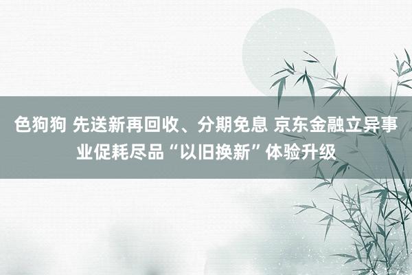 色狗狗 先送新再回收、分期免息 京东金融立异事业促耗尽品“以旧换新”体验升级