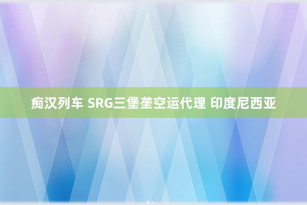 痴汉列车 SRG三堡垄空运代理 印度尼西亚