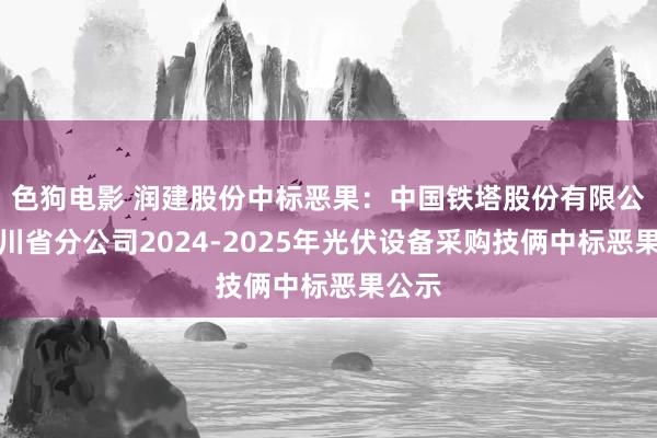 色狗电影 润建股份中标恶果：中国铁塔股份有限公司四川省分公司2024-2025年光伏设备采购技俩中标恶果公示