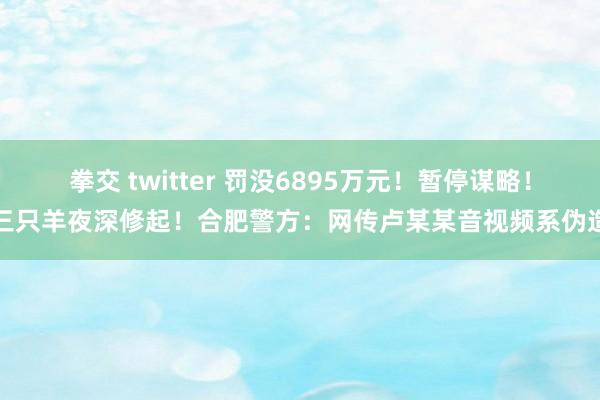 拳交 twitter 罚没6895万元！暂停谋略！三只羊夜深修起！合肥警方：网传卢某某音视频系伪造