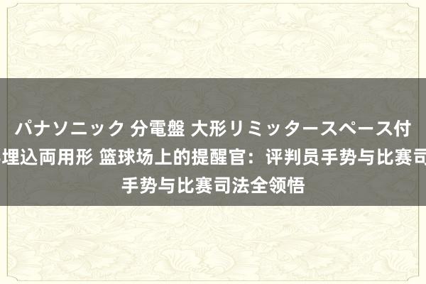 パナソニック 分電盤 大形リミッタースペース付 露出・半埋込両用形 篮球场上的提醒官：评判员手势与比赛司法全领悟