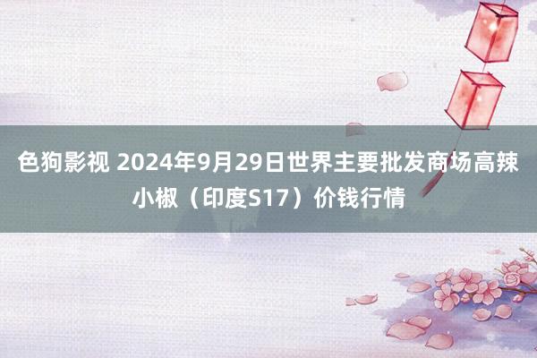 色狗影视 2024年9月29日世界主要批发商场高辣小椒（印度S17）价钱行情