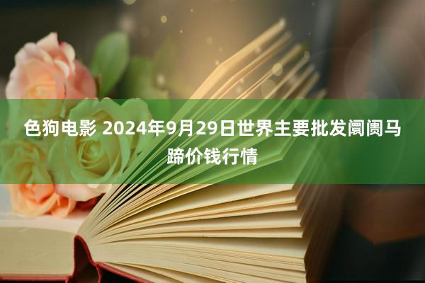 色狗电影 2024年9月29日世界主要批发阛阓马蹄价钱行情