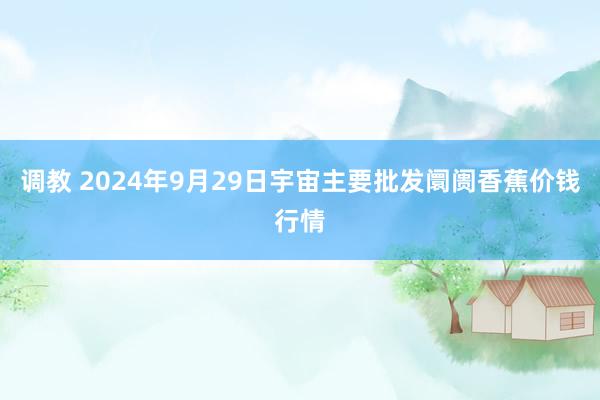 调教 2024年9月29日宇宙主要批发阛阓香蕉价钱行情