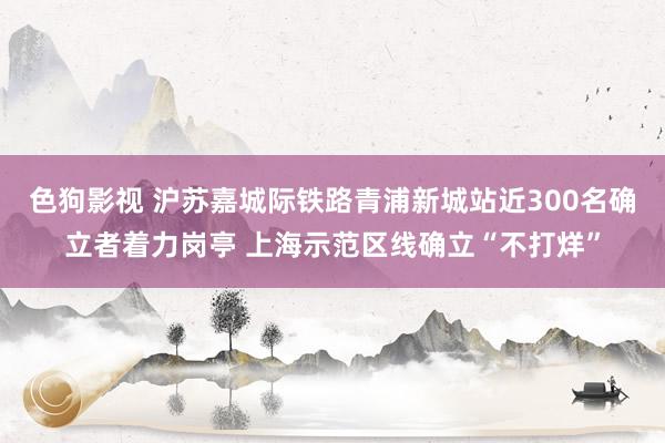 色狗影视 沪苏嘉城际铁路青浦新城站近300名确立者着力岗亭 上海示范区线确立“不打烊”