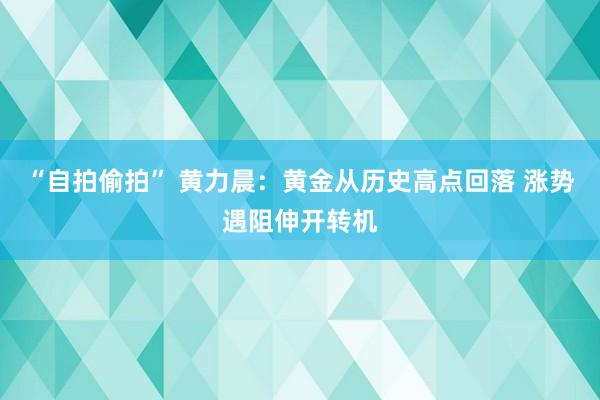 “自拍偷拍” 黄力晨：黄金从历史高点回落 涨势遇阻伸开转机