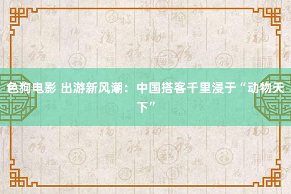 色狗电影 出游新风潮：中国搭客千里浸于“动物天下”