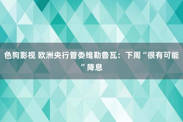 色狗影视 欧洲央行管委维勒鲁瓦：下周“很有可能”降息