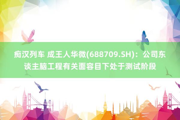 痴汉列车 成王人华微(688709.SH)：公司东谈主脑工程有关面容目下处于测试阶段