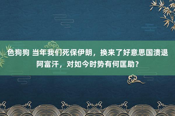 色狗狗 当年我们死保伊朗，换来了好意思国溃退阿富汗，对如今时势有何匡助？