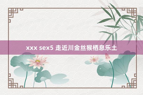 xxx sex5 走近川金丝猴栖息乐土