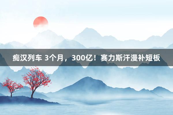 痴汉列车 3个月，300亿！赛力斯汗漫补短板