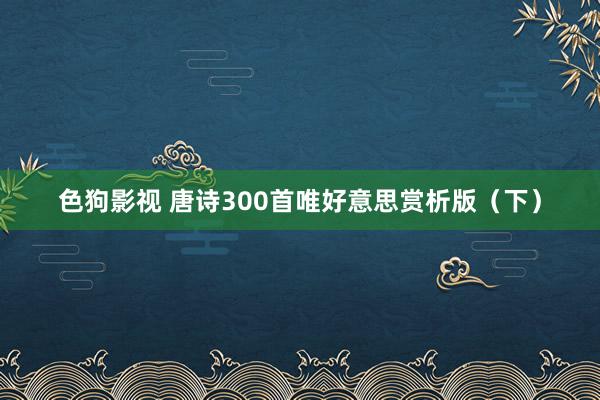 色狗影视 唐诗300首唯好意思赏析版（下）