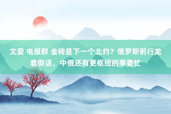 文爱 电报群 金砖是下一个北约？俄罗斯躬行龙套假话，中俄还有更枢纽的事要忙