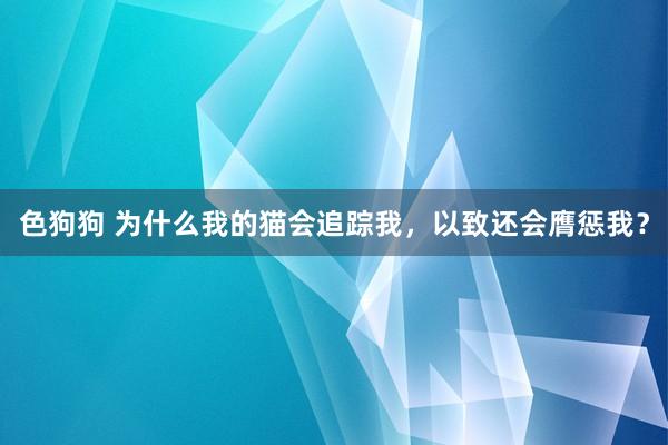 色狗狗 为什么我的猫会追踪我，以致还会膺惩我？