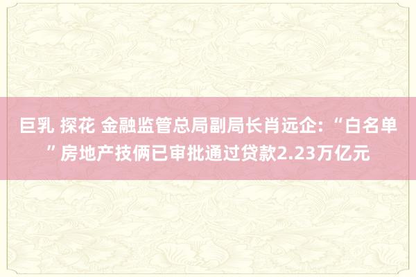 巨乳 探花 金融监管总局副局长肖远企: “白名单”房地产技俩已审批通过贷款2.23万亿元