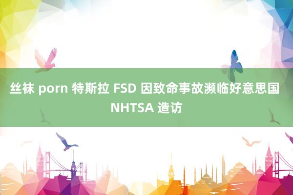 丝袜 porn 特斯拉 FSD 因致命事故濒临好意思国 NHTSA 造访