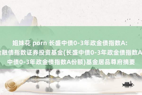 姐妹花 porn 长盛中债0-3年政金债指数A: 长盛中债0-3年战术性金融债指数证券投资基金(长盛中债0-3年政金债指数A份额)基金居品尊府摘要