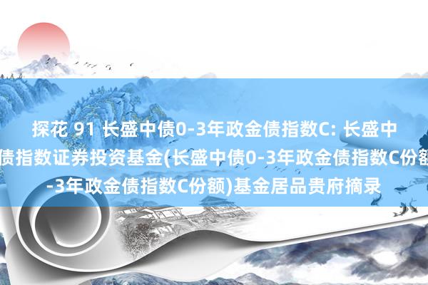 探花 91 长盛中债0-3年政金债指数C: 长盛中债0-3年战略性金融债指数证券投资基金(长盛中债0-3年政金债指数C份额)基金居品贵府摘录